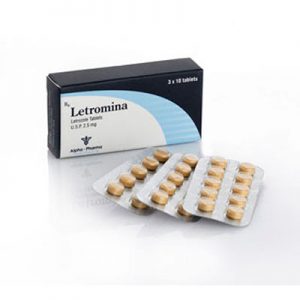 Lowest price on Letrozole. The Letromina buy USA cycle