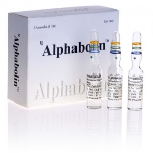Lowest price on Methenolone enanthate (Primobolan depot). The Alphabolin buy USA cycle